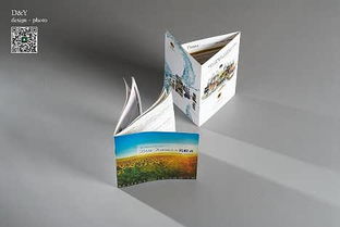 天津?qū)殞氂闷放恼?天津平面拍攝